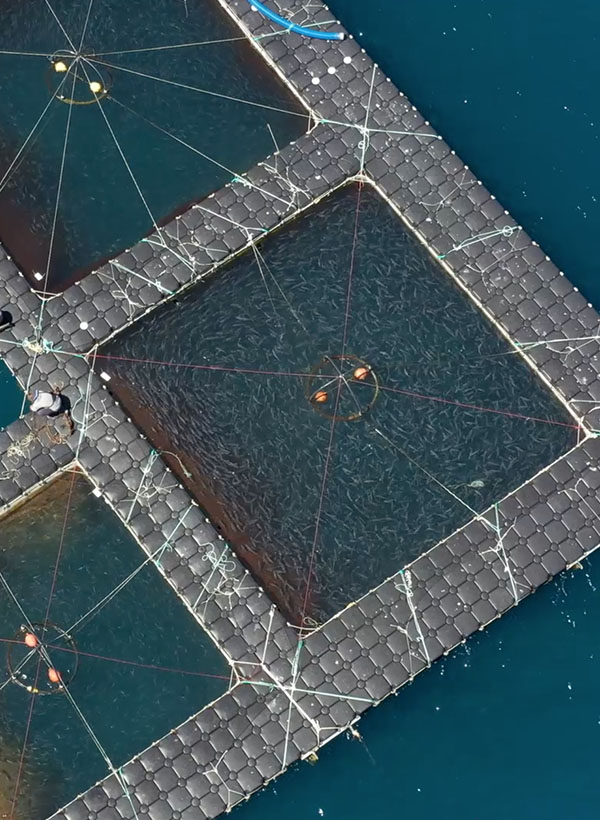 Aquafrais à Cannes – Portrait de Pêche