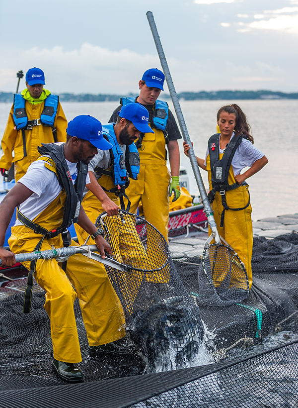Aquafrais à Cannes – Portrait de Pêche